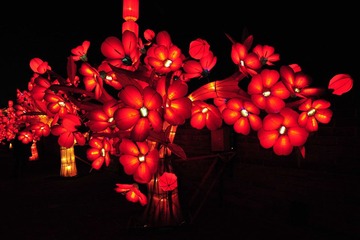 彩灯(2)