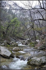 秦岭风光18