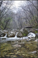 秦岭风光20