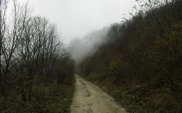 A0002567