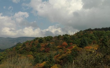 A0002776