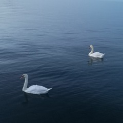 798471