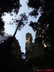DSC06878.JPG