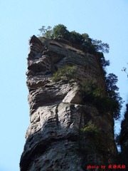 DSC00352.JPG
