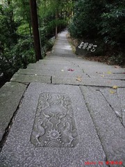 DSC06821.JPG