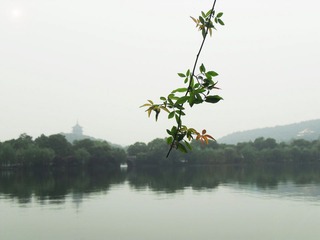 西湖