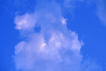 BDB621D6-1678-4D91-B8E2-80B84432E2A7/L0/001