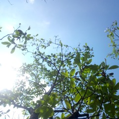 D10F3D85-FE1B-43D1-8359-FF512B6F71DE/L0/001