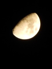 637487