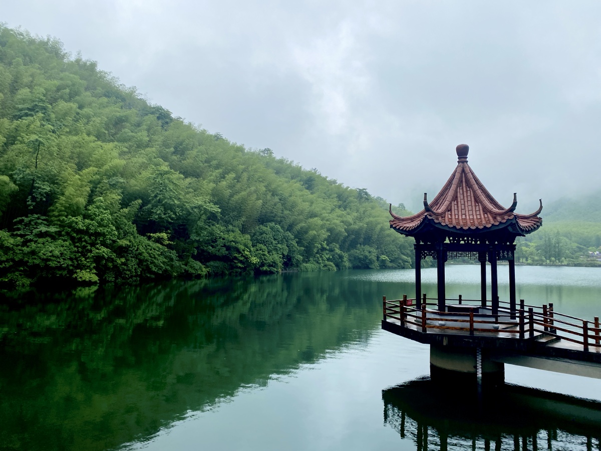 宜兴竹海天然氧吧雨中美景天晴了再去