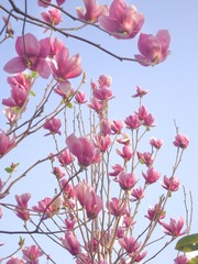 824F0309-7B82-472C-8B7D-DA4ACAF2C384/L0/001