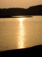 5FA745D7-2AC3-4C3A-A8B6-7E3C8F3C4665/L0/001