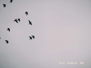 1F9245E3-D3BD-45FE-86F5-43066C4686D9/L0/001