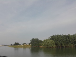 53