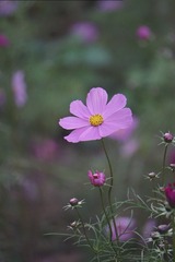 A6D19AD2-66EF-48B1-AA77-15846B3A1746/L0/001