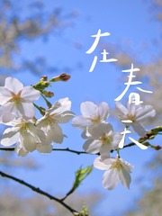 786C8DF0-EA8A-47AD-BE48-89E7064AE94B/L0/001