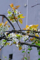 4F883865-BA81-45FE-9E3B-3000B8FF7601/L0/001