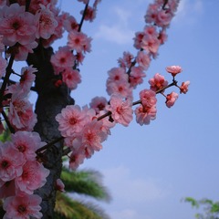 F16ADAAC-11CB-4715-B6EF-01CCFBD65939/L0/001