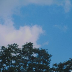 10CDC145-3FB9-434B-8B90-F7F52C404F42/L0/001