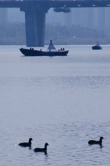E9CAC1D9-0496-447A-A717-45E77D067AE3/L0/001
