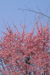 FD18B0E0-7072-4867-B147-602E4CA4C001/L0/001