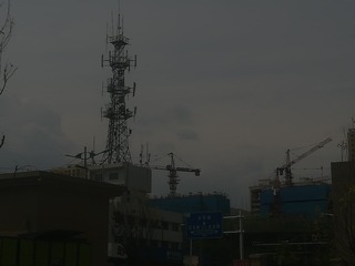 2550631