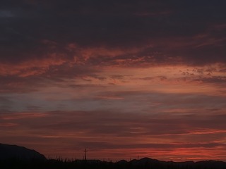 2366003