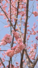 FA6235A6-AE11-469C-8FA5-B5B5A1A7488C/L0/001