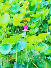 001