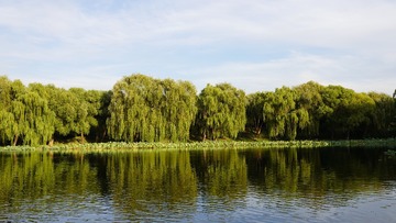 84477B8F-AE72-4F23-A12D-14BCE7AD1579/L0/001