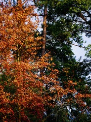 98B2AC22-B581-41B7-84D2-D61B37492550/L0/001