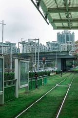 36084