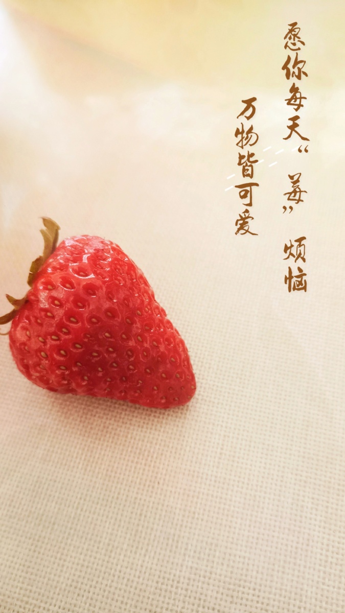 万物皆可爱愿你每天莓烦恼