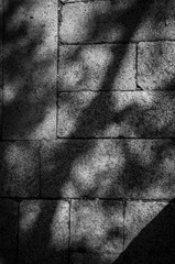 D9E643B0-ACE6-4510-ADC5-EABBB4718187/L0/001