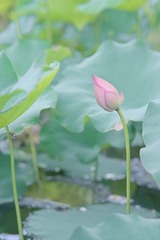 B10B0EF8-E950-4F78-AC79-22265D150880/L0/001