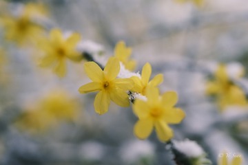 A67EF4C7-F5A8-4636-8847-9E245EE201AC/L0/001