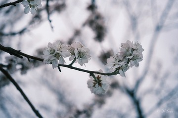 CF0526C4-60C0-4FC3-8AFE-0222F1048B6F/L0/001