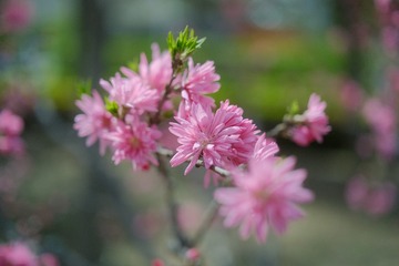 16A186C4-0DD3-4030-838C-0273CF4E6CB6/L0/001