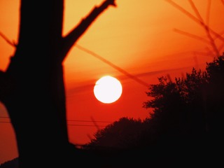 A517874A-C9A2-4A72-8E94-3CBC96CCD7C0/L0/001