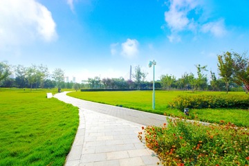 E50A8A9F-B993-48C5-BB74-1FFBD67B9A3A/L0/001