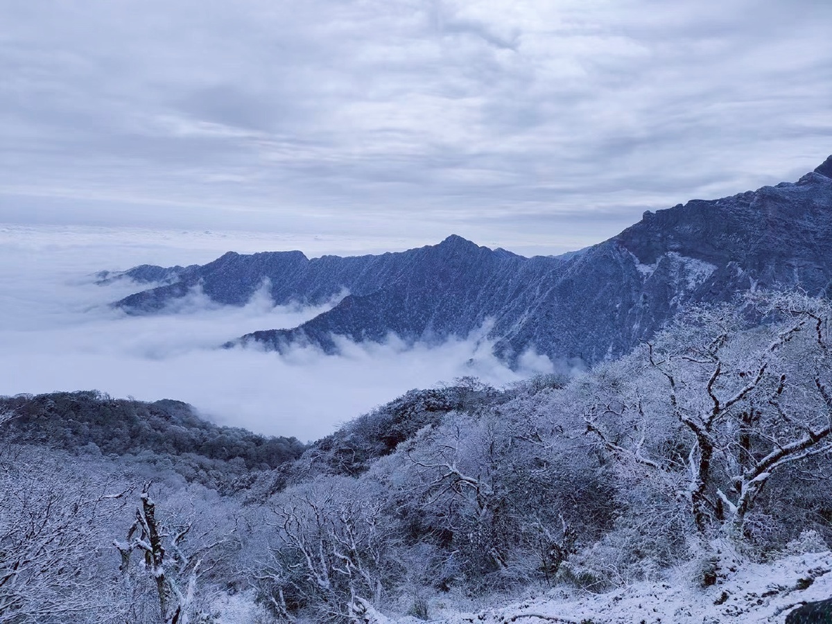 雪季拍摄于贵州梵净山
