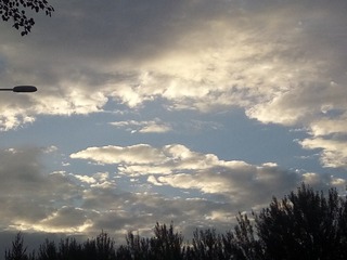 1331359