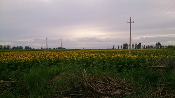 1626819