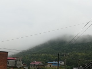 546314