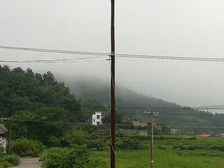 546315