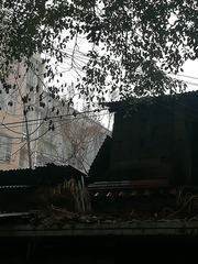 118626