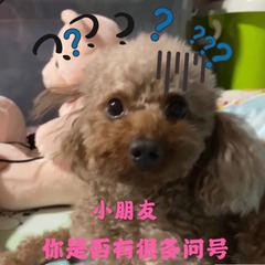 95BD71A5-346B-4AD8-9DA1-4060B2879E5B/L0/001