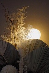 C1E8D501-FB91-4FD3-B3FE-97C9D4126D85/L0/001