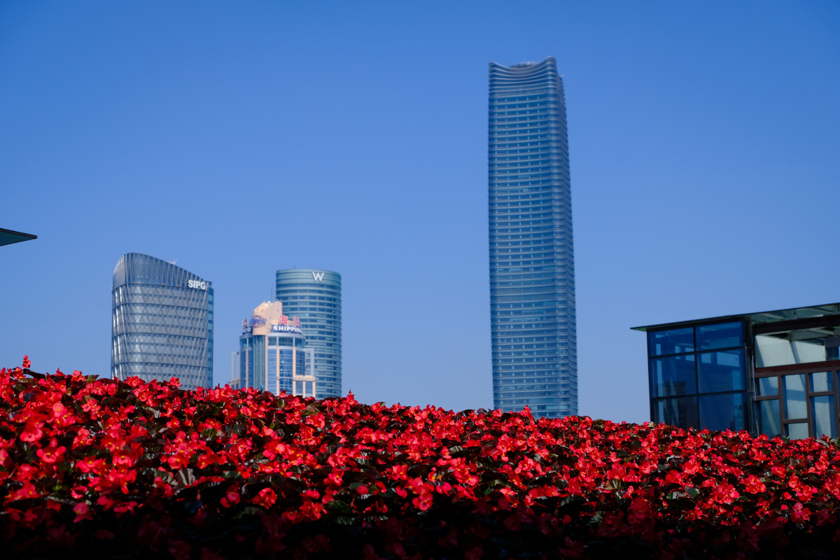 北外滩 白玉兰广场