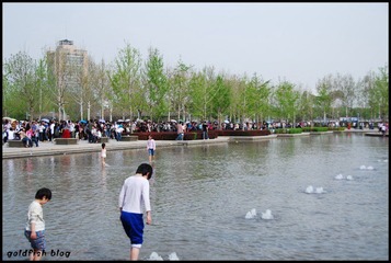 dsc_0206-800